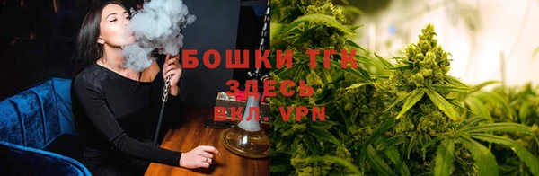 спиды Магас
