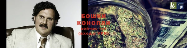 МДПВ Мегион