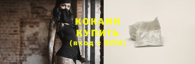 спиды Магас