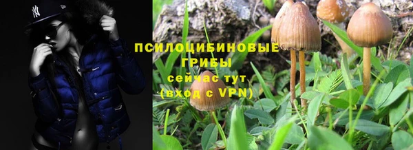 крисы Майский