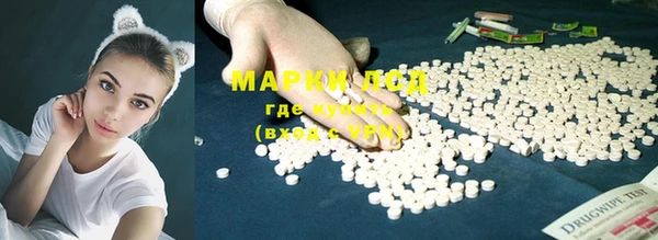 спиды Магас