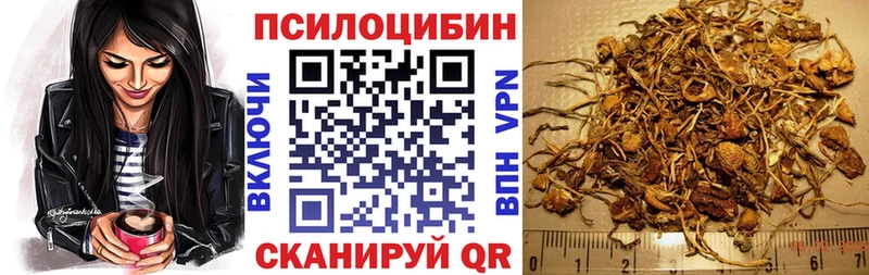 это телеграм где купить Зея Галлюциногенные грибы Cubensis